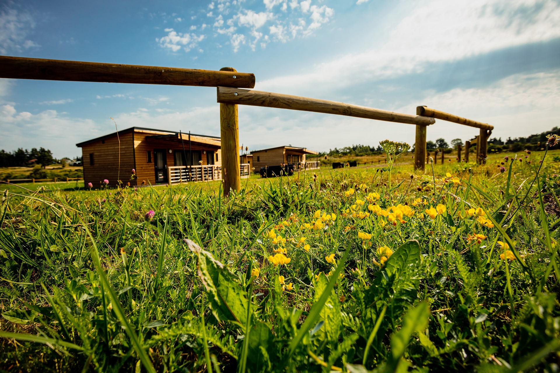 Camping avec cottages en bois en Lozère