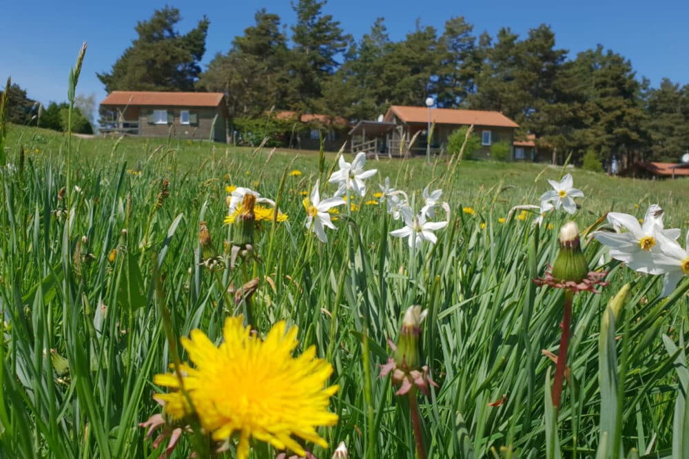 Chalet en bois au camping en Lozère