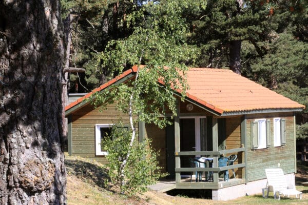 Chalet en bois edelweiss pour 5 ou 6 personnes en Lozère