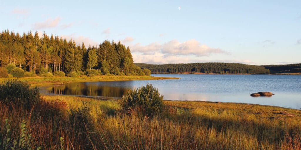 Explorer les grands lacs autour de Langogne comme le lac de Charpal