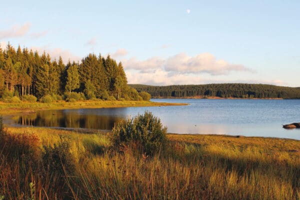 Explorer les grands lacs autour de Langogne comme le lac de Charpal