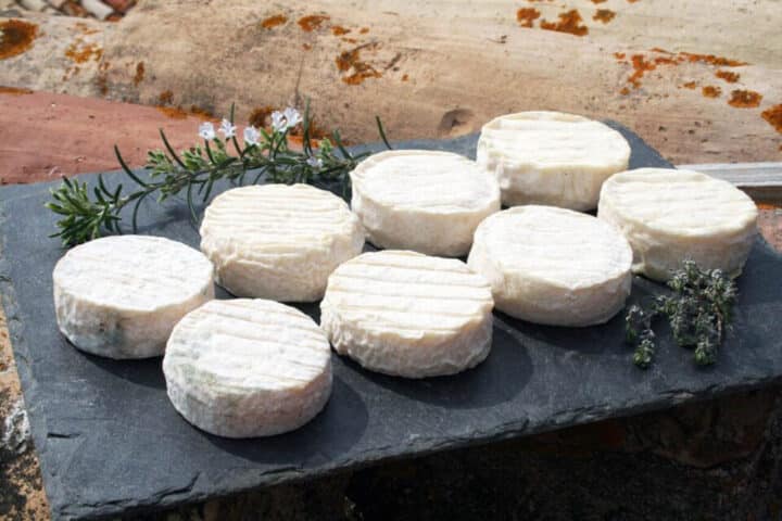Le fromage de Langogne servi dans le camping les sous bois du lac