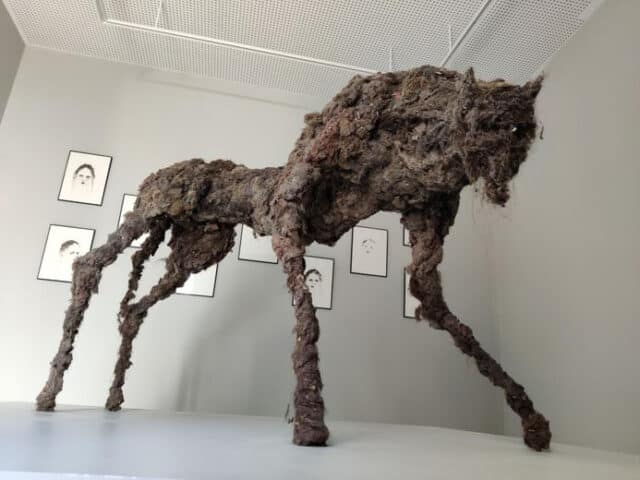 Musée de la bête du Gevaudan