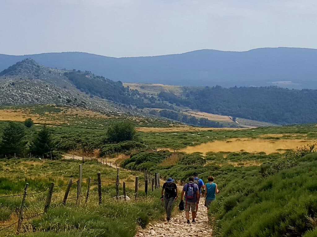 Après le camping, randonnée au Mont Lozère