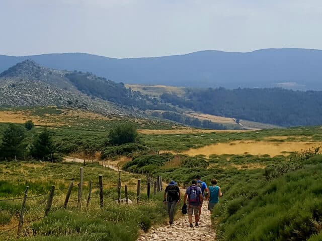 Après le camping, randonnée au Mont Lozère