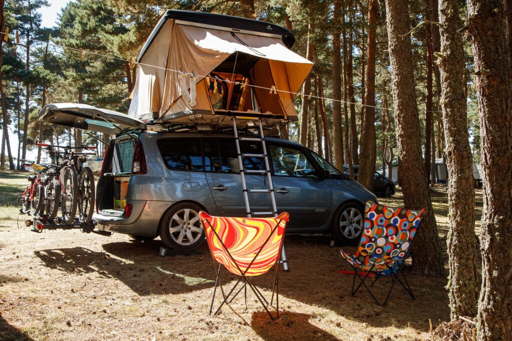 Emplacement camping au cœur de la forêt de pins en Lozère
